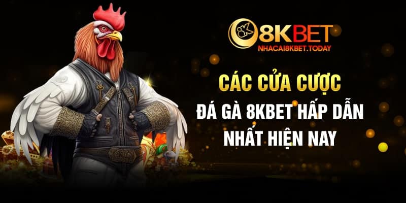 Các cửa cược đá gà 8KBET hấp dẫn nhất hiện nay