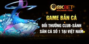 Game Bắn Cá Đổi Thưởng Club - Sảnh Săn Cá Số 1 Tại Việt Nam