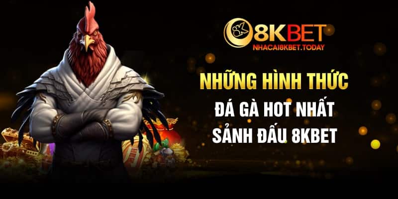 Những hình thức đá gà hot nhất sảnh đấu 8KBET