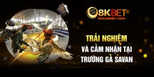 Trải nghiệm và cảm nhận tại Trường Gà Savan