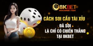 cách soi cầu tài xỉu