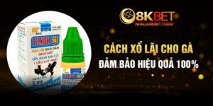 cách xổ lãi cho gà